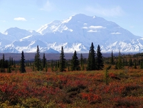 View from Wonder Lake Campground on a clear autumn day Denali National Park Alaska 
