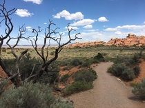 View of Utahs Arches National Park from the Pine Tree Arch trail x