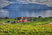 Village of Rivaz in the lavaux region of Switzerland with th century vineyard terraces along Lake Geneva 