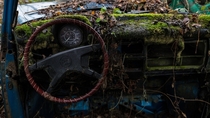 Vintage Car Cockpit - Overgrown and Decaying 