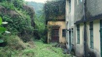 Visited an entire abandoned village in rural Hong Kong being digested by nature lots more photos videos in comments 