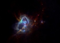 W Seen For The First Time  newly forming stars crowded into colourful filaments of dust that form a stellar nursery seen by Herschel space observatory 