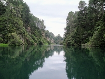 Waikato River New Zealand Photo taken while on a jet boat cruising the river 