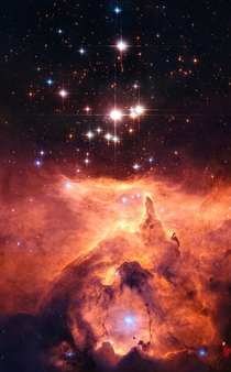 waiting for HubbleThe star cluster Pismis  lies in the core of the large emission nebula NGC  that extends one degree on the sky in the direction of the Scorpius constellation