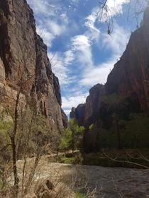 Walking on the river walk in Zion national park 