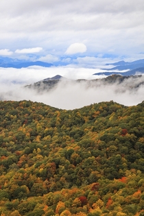 Warm Apple Cider Fall Leaves and the Great Smoky Mountains TN What more can I ask for 