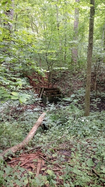 Was out hiking in Michigan and spotted what looks to be an abandoned well