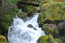Water flowing below Watson Falls Oregon 