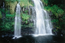 Waterfall in Maui Hawaii 