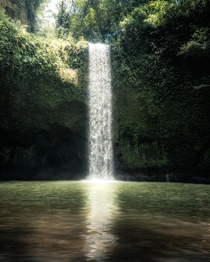 Waterfall oasis in central Bali  by mvttmic