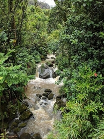 Waterfall on the road to Hana Maui 