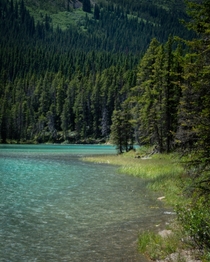 Waterfowl lake in Banff National Park OC   