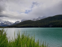 Waterfowl Lakes from the Icefields Parkway Banff National Park Canada  x