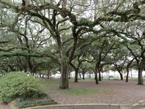Waterfront Park - Charleston SC 