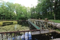 Waterloopbos Netherlands This is a old laboratory where flood defense systems were tested  