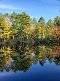 Wausaukee WI Fall time in the north woods  OC