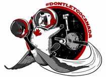We ran an AMA with Chris Hadfield today about Canadas Space Sector Artist Jessica Borutski made us this emblem Thought you guys might enjoy it too Space Beaver