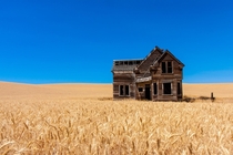 Welcome Home - an abandoned home surrounded by wheat fields Oregon  photo by Jeff Edes