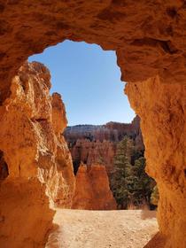 Went for a hike at Bryce Canyon Found a doorway to beauty on the Queens garden hike 