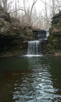 Went hiking today and found this beautiful thing Columbus Ohio 