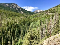 West Branch Trail Rawah Wilderness Colorado 