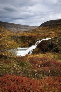 Westfjords Iceland colorful autumn  x