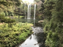 Whangarei Falls New Zealand 