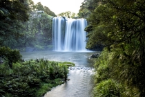 Whangarei Falls Northland New Zealand 