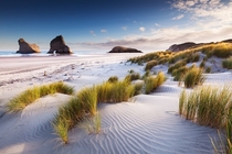 Wharariki Beach New Zealand  Photo by Sven Mller
