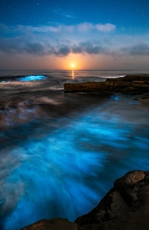 When everything glows - Bioluminescent waves crash as the Moonsets over the Pacific San Diego CA  jackfusco
