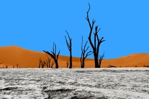 When nature decides to paint Deadvlei Namibia 