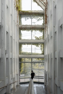 When nature takes over architecture Saitama community Center mazterz
