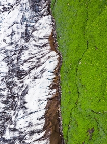 Where a glacier meets green moss in Iceland  - I offer all my abstract landscapes for FREE in high res during lockdown - more info in the comments