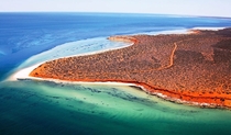 Where the red desert meets the blue ocean Shark Bay Western Australia 