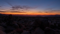 Where the Sonoran Desert meets the Mojave Desert 