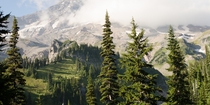 Where the treeline ends and the rugged peak of Mount Rainier begins 