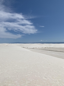 White Sands National Monument in Alamogordo NM  x