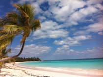 Whitelands beach Eleuthera island Bahamas Access involves a VERY bumpy drive 