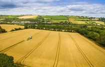Wholecrop cereal silage Inishannon Co Cork Ireland Claas  Harvester x OC
