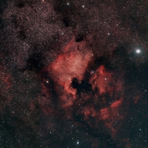 Why NGC  got its name The North America Nebula 