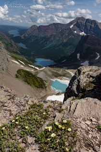 Wildflowers glaciers and Alpine lakes from the vantage point of Grinnell overlook elevation ft in Glacier National Park 