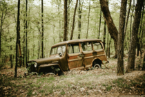 Willys Overland station wagon abandoned in a Virginia forest 