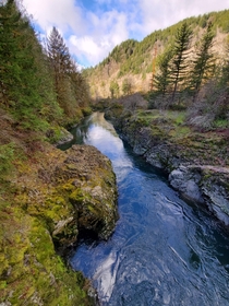 Wilson River Tillamook State Forest Oregon 