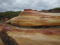 Wind-sculpted sandstone in Royal National Park Australia 