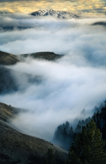 Winding Fog Blue Mountains 