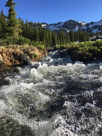 Windsor Lake Trail near Leadville Colorado Outflow stream from a pond 