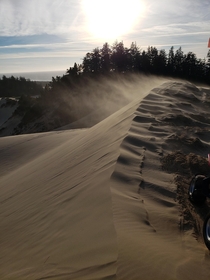 Windy Sand Dune Winchester Bay OR USA 