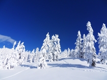 Winter in Garibaldi Provincial Park Canada 