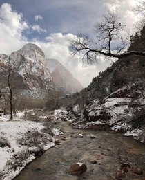 Winter is a great time to visit the National Parks Very few people and insanely beautiful Took this photo at Zion National Park in Utah a couple days ago 