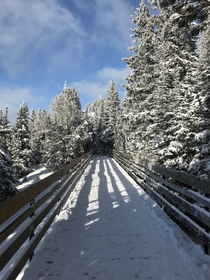 Winter landscape Banff Canada 
